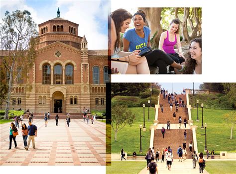 campus life at ucla